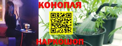 дмт Будённовск