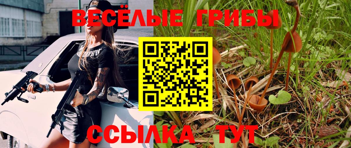 Псилоцибиновые грибы Psilocybine cubensis Среднеуральск