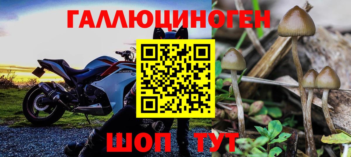 Галлюциногенные грибы мухоморы  Галлюциногенные грибы Cubensis  купить   Вход с VPN  Среднеуральск 